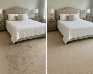 Best Residential Carpet Cleaning
