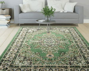 Best rug cleaning service