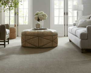 Modern home with clean carpet