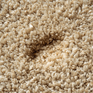 Carpet fibers showing early wear caused by dirt and foot traffic