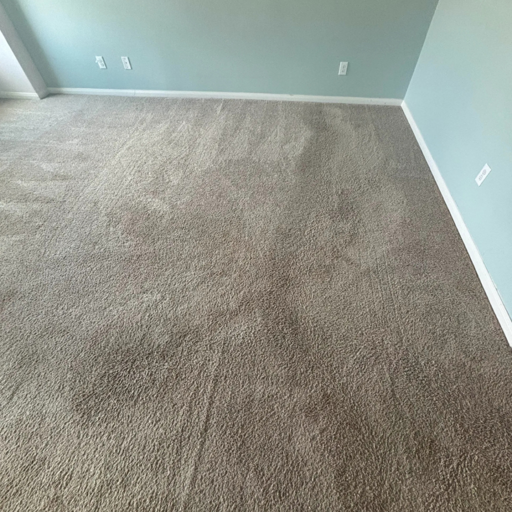 After carpet cleaning in Floresville